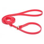 Durable Red Biothane Great Dane Leash and Collar Combo