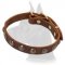 Handcrafted Great Dane Leather Collar with Luxurious Decorations