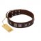 "Needle Stories" Modern FDT Artisan Brown Leather Great Dane Collar with Square Engraved Plates and Four-Point Stars
