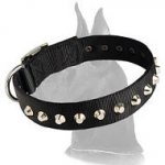 Wide Nylon Collar with Nickel Pyramids for Great Dane