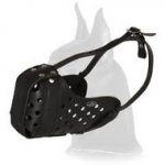 Attack/Agitation Leather Muzzle for Great Dane
