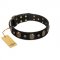 Pirate's Spell' FDT Artisan Black Leather Great Dane Collar with Engraved Studs and Medallions
