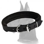 Amazing Training Leather Collar for Great Dane