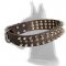 Unbelievable Leather Collar for Great Dane
