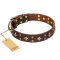 'High Fashion' FDT Artisan Embellished Brown Leather Great Dane Collar