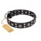"Refined Essence" FDT Artisan Black Leather Great Dane Collar with Silvery Studs