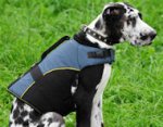 Adjustable Nylon Vest for Great Dane