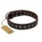 "Stars of Glory" FDT Artisan Brown Leather Great Dane Collar for Comfortable Walking