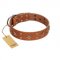 "Dreamy Gleam" FDT Artisan Tan Leather Great Dane Collar Adorned with Stars and Squares