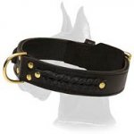 Wide 2 Ply Braided Leather Collar for Great Dane