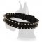 Black Nylon Spiked Collar for Great Dane