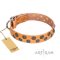 "Precious Sparkle" FDT Artisan Tan Leather Great Dane Collar for Walking in Style