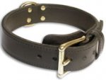 Heavy Duty leather Dog Collar for Great Dane