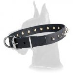Spiked Leather Dog Collar for Great Dane walking