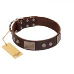 "Stone Stars" Stylish Handmade FDT Artisan Brown Leather Great Dane Collar