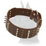 Wide Spiked and Studded Leather Collar for Great Dane