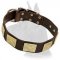Leather Collar with gold-like plates for Great Dane