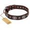 "Extra Pizzazz" FDT Artisan Adorned Brown Leather Great Dane Collar