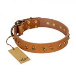 "Autumn Story" FDT Artisan Leather Great Dane Collar with Old Bronze Look Studs