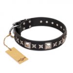 'Space Walk' FDT Artisan Durable Black Leather Great Dane Collar with Beautiful Adornments
