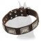 Dog Collar with Nickel Plated Hardware for Great Dane