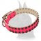 Glamour Design Pink Leather Collar with Studs