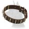 Leather Collar with Spikes and Studs for Great Dane