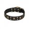'Jolly Rojer' FDT Artisan Great Dane Leather Dog Collar with Pirate Skulls and Studs - 1 1/2 inch (40 mm) wide