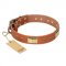 "Enchanting Spectacle" FDT Artisan Tan Leather Great Dane Collar with Old Bronze Look Plates and Round Studs