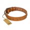"Autumn Story" FDT Artisan Leather Great Dane Collar with Old Bronze Look Studs