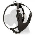 Heavy Duty Leather Harness for Great Dane