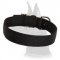 Double Layer Nylon Collar for Great Dane