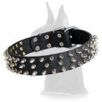 Quality Spiked Leather Dog Collar for Great Dane