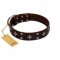 "Trendy Candy" FDT Artisan Brown Leather Great Dane Collar Adorned with Stars and Tiny Squares