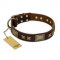 "Sparkling Bronze" FDT Artisan Genuine Leather Great Dane Collar with Bronze Look Stars and Plates