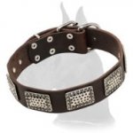Dog Collar with Nickel Plated Hardware for Great Dane