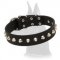 Fashionable Leather Dog Collar with Nickel Spikes for Great Dane