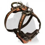 Hand Painted Leather Harness for Great Dane