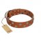 "Ancient Symbol" Trendy FDT Artisan Tan Leather Great Dane Collar with Silver- and Gold-Like Studs