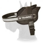 Nylon Great Dane Harness with Reflective Strap
