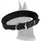 Amazing Training Leather Collar for Great Dane