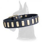 Gorgeous Wide Leather Collar with plates for Great Dane