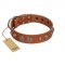 "Era Infinitum" FDT Artisan Tan Leather Great Dane Collar Adorned with Chrome-plated Circles