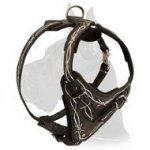 "Barbed Wire" Painted Leather Harness for Great Dane