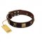 "Crazy Pirate" FDT Artisan Brown Leather Great Dane Collar with Old Bronze-Plated Skulls and Plates