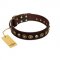 "Street Fashion" FDT Artisan Brown Leather Great Dane Collar Adorned with Circles and Skulls