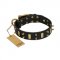 "Medieval Style" FDT Artisan Leather Great Dane Collar with Brass Plates and Spikes