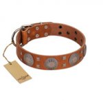 "Sun Rise Noon" FDT Artisan Tan Leather Great Dane Collar with Unique Design
