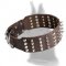 Extra Wide Leather Dog Collar with Spikes and Half Pyramids for Great Dane
