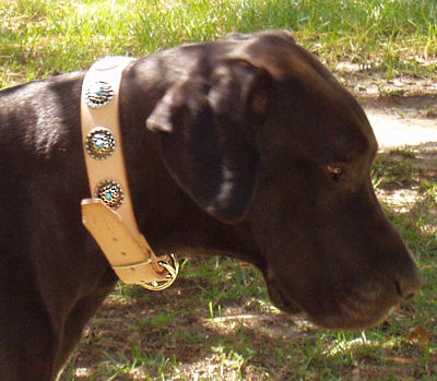 Get Leather Dog Collar, Blue Decorative Stones